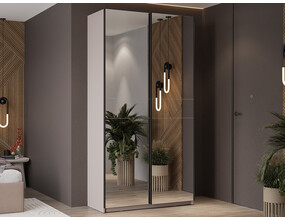 Шкаф-купе «Оскар Хилтон» Тип 2 З/З